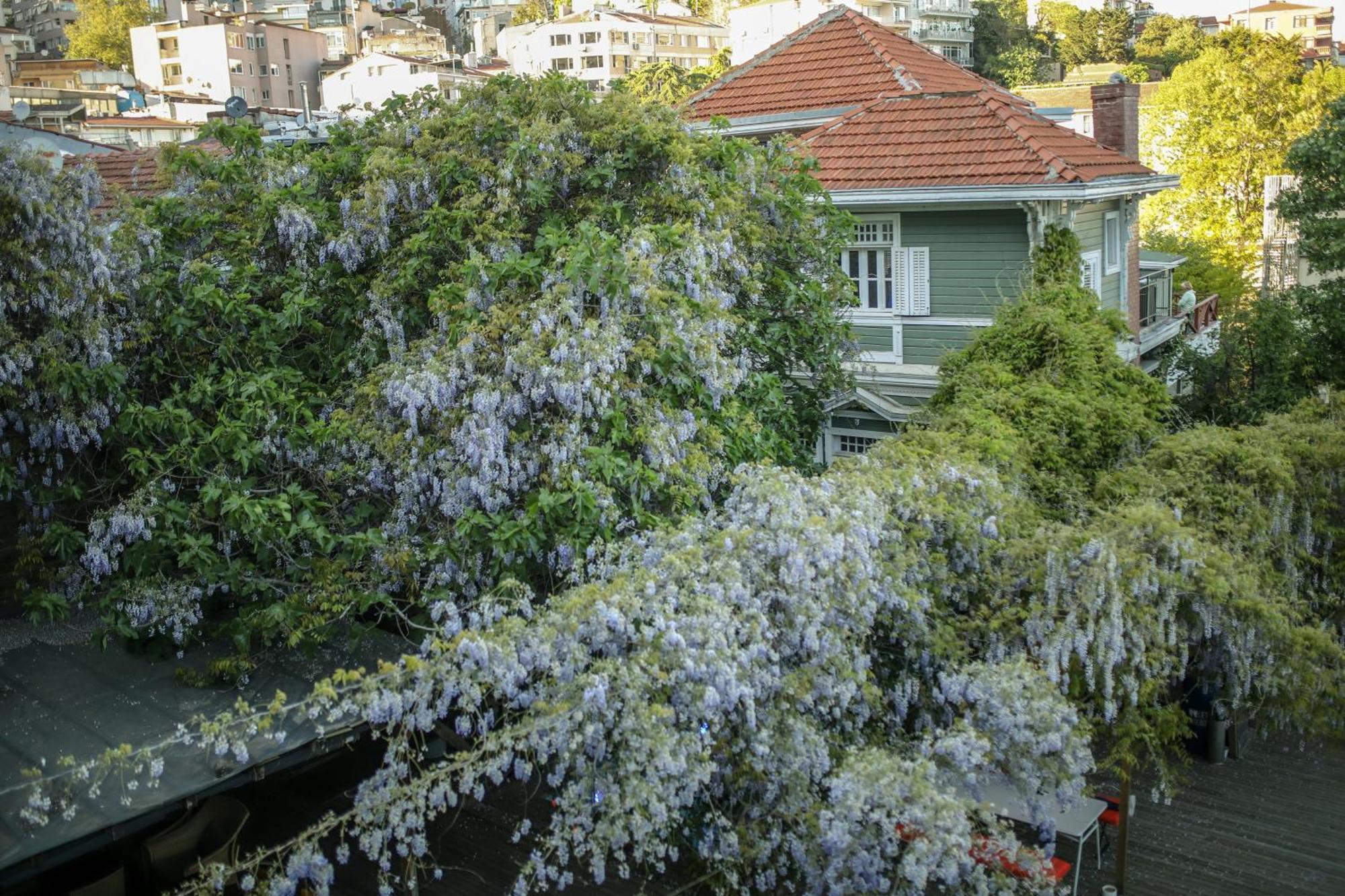 Loop Hotel Bosphorus Istanbul Bagian luar foto